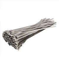 Vktech 100pcs Stainless Steel Exhaust Wrap Coated Locking Cable Zip Ties 4.6*200mm