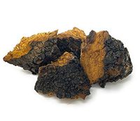 Premium Canadian Chaga Chunks 4oz