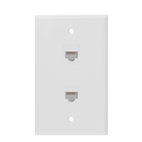Ethernet Wall Plate, 2 Port Cat 6 RJ45 Keystone Female to Female Wall Plate Compatible with Cat7/6/6e/5/5e Ethernet Devices(2 x Screws Included)