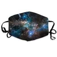 Garde Art Studio Cute Fashion Reusable Earloop Half Face Dust Proof Mouth - Washable Outdoor Sports Mouth Wilder California Prickly Pear Cactus