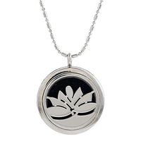 Paw Paw House Aromatherapy Essential Oil Diffuser Necklace Floating Charm Locket Pendant Stainless Steel (5102-1)