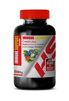 Brain Vitamins Memory for Adults - Immune Support Complex 1550 Mg with Raspberry Green Tea Turmeric GRAVIOLA Grape Pine BARK - Green Tea Extract Alcohol Free - 1 Bottle 60 Capsules