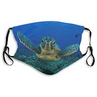 Mouth Masks for Dust Protection Anti Face Mask Washable Earloop Mask Activated Carbon Filter