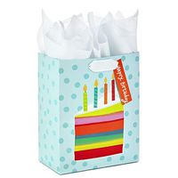 Hallmark 9" Medium Gift Bag with Tissue Paper (Rainbow Cake Slice) for Birthdays