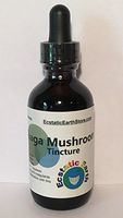 Wild Harvested Chaga Mushroom Extract Tincture ~ 2 Ounce Bottle ~ Inonotus Obliquus