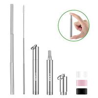 Itaar Telescopic Reusable Portable Stainless Steel Metal Drinking Straw with Travel Case & Cleaning Brush, Foldable Straw with Case for 12oz/20oz/30oz Tumbler, Silver