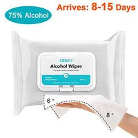 Large Wet Wipes for Adult and Kids, 8''X6'' Cleaning Wipes for at-Home Use, Hands and Body, Flip-Top Pack (1 Pack)