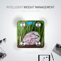 Bright-Coloured Eggs Weigh Scales Digital Scale Body Weight Weight Scales Tracks 8 Key Compositions Analyzer Sync with Fitness Apps 400 Lbs