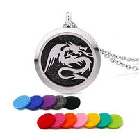 Stainless Steel Pet Love Dragon Aromatherapy Essential Oil Diffuser Necklace Carving Locket Pendant,10 Felt Pads