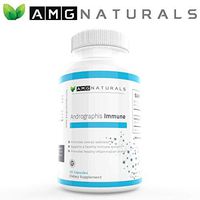 Andrographis Capsules - Andrographis Paniculata Capsules to Support Optimal Immune Immunity & Microbial Defense - High Potency 500mg per Capsule 60 Capsules
