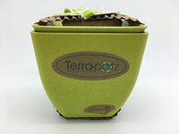 All Natural 10 oz. BEST Terra.Potz 100% Soy Candles in Biodegradable Planter Pots - Sproutz Gro Kit (Green Gro Kit)