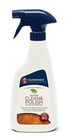 Guardsman 461100 16 Oz Wood Polish