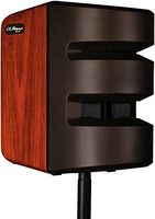 LR Baggs Synapse Personal PA System