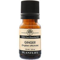 Ginger 100% Pure Essential Oil - 10 ml