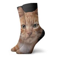 Women Men Boys Girls Fashion Novelty Funny Casual Comfy Breathable Compression Socks Adult Cotton Stockings Sports Running Football Funny Bearded Dragon Lizards Animal Crew Socks