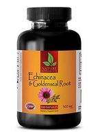 Immune Support Booster - Echinacea Extract & Goldenseal Root Complex - goldenseal Root Powder - 1 Bottle (60 Capsules)