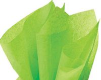 ackaged 48ct Bright Lime Citrus GreenTissue Paper 20 Inch x 30 Inch