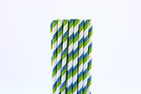Blue and Green Striped Paper Straws (25)