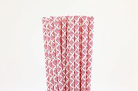 Hot Pink Damask Paper Straws (50)