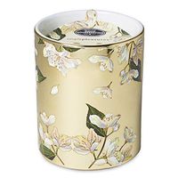 Simple Pleasures Ceramic Candle - Fresh Cotton (Fresh Cotton)