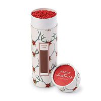 Mud Pie Christmas Fall Fireplace Matches Tube (Poinsettia)