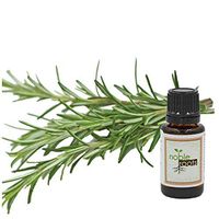 0.5 fl oz Rosemary Oil Essential Oil for Hair Care Products, Diffusion, and Has Been Known to Help With Stress Relief …