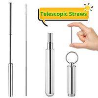 Portable Reusable Drinking Straws - Telescopic Stainless Steel Metal Straw with Aluminum Case & Cleaning Brush (Sliver)