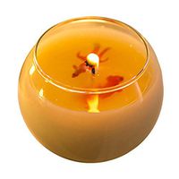 TanShine Natural Scented Candle Soy Wax with Unique Fragrance and Goldfish Decoration 3.17oz Lavender