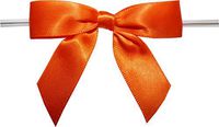BAYWIND LTD; 2.75" Twist Tie Bows- 100pc (Orange)