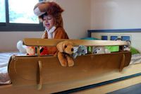 Tambino Noah's Ark Bed Rail Size: Medium, Color: Espresso