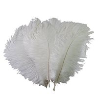 Happy Will 100 Pcs 15-20cm Real Natural Ostrich Feathers Great Decorations for Wedding Party (White)