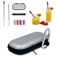 Executive Forest Metal Collapsible Straw with Keychain Carry Case and Cleaning Brush, Portable Telescopic Travel Drink Use, Stainless-Steel Tube, Hot and Cold Resistant Silicone Tip (Silver)