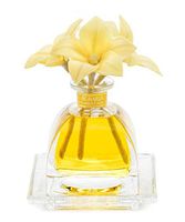 Agraria San Francisco AirEssence Diffuser, Golden Cassis