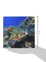 3dRose LLC 8 x 8 x 0.25 Inches Mouse Pad, Green Sea Turtle (mp_46104_1)