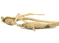 Mountain Rose Herbs - Ginseng Root Whole 1 lb