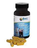 Bael Wellness Joint Pain Relief Supplement - Plant Based Glucosamine with Organic Turmeric Curcumin, Pepper, Green Tea, Flax Seed, Ginger Extract. Extra Strength, Non-GMO, 100% Vegan - 60 Capsules