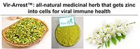 Vir-Arrest: All-Natural Medicinal herb That gets zinc into Cells for Viral Immune Health