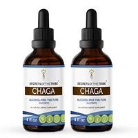 Chaga Tincture Alcohol-Free Extract, Organic Chaga (Inonotus obliquus) Dried Whole Mushroom (2x4 FL OZ)