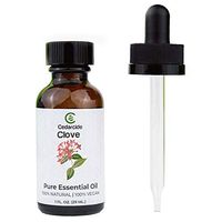 Cedarcide Clove Therapeutic Essential Oil | 100% Pure | 100% Vegan | Natural Aromatherapy (1oz)