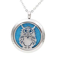 FANSING Gifts for Grandmother Owl Necklaces for Women Essential Oil Diffuser Necklace Stainless Steel Chain