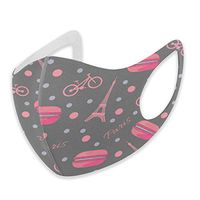 Mouth Masks for Dust Protection Anti Face Mask Washable Earloop Mask Pink Paris Tower