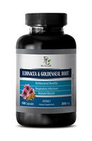Skin Health Supplement - ECHINACEA and GOLDENSEAL Root - Echinacea Extract Capsules - 1 Bottle 100 Capsules
