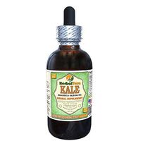 Kale, Red Spiderling (Brassica Oleracea) Dried Leaf Alcohol-Free Liquid Extract (Brand Name: HerbalTerra, Proudly Made in USA) 4 oz