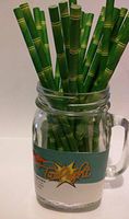 Bamboo Vintage Paper Drinking Straws -100 COUNT - Twilight Parties
