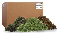PA Essentials PAW00731 Bulk Crinkle Shred 10lb Box, Camouflage