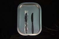 Black Heavy Weight Polypropylene Plastic Knives (Case of 2000)