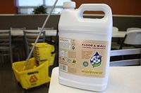 Safe Floor & Wall Cleaner, Pre-Stain Laundry and Carpet Treatment, Non-toxic, Unscented, Hypoallergenic, Safe Now for People, Pets, & Our Planet 1gal. (128oz)