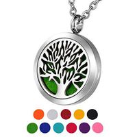 HOUSWEETY Aromatherapy Essential Oil Diffuser Necklace-Stainless Steel Locket Pendant,11 Refill Pads(Non-engraving)
