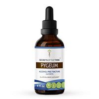 Pygeum Tincture Alcohol-Free Extract, Wildcrafted Pygeum (Pygeum Africanum) Dried Bark Tincture Supplement (4 FL OZ)