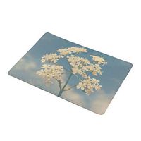 xmke96 Door Mat Rose Flower Cactus Plant Printed Carpet Kitchen Bathroom Non-Slip Door Mat Floor Mat Home Decoration 15#